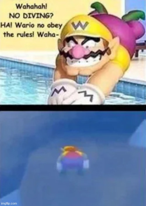 wario no obay the rules | image tagged in memes | made w/ Imgflip meme maker