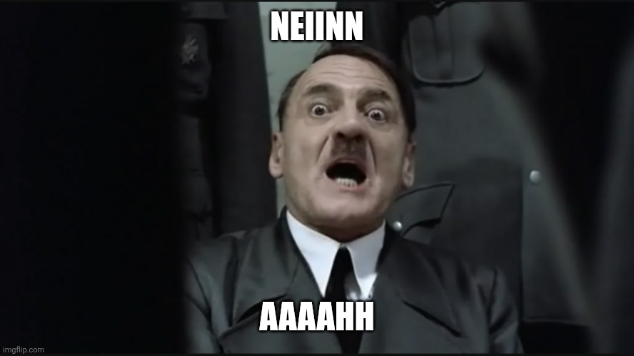 scared hitler | NEIINN AAAAHH | image tagged in scared hitler | made w/ Imgflip meme maker