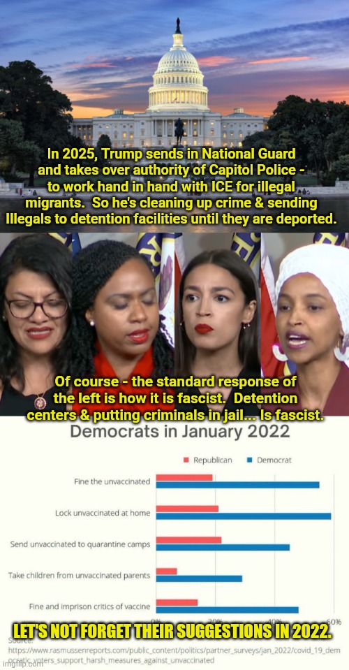 In 2025, Trump sends in National Guard and takes over authority of Capitol Police - to work hand in hand with ICE for illegal migrants.  So he's cleaning up crime & sending Illegals to detention facilities until they are deported. Of course - the standard response of the left is how it is fascist.  Detention centers & putting criminals in jail... Is fascist. LET'S NOT FORGET THEIR SUGGESTIONS IN 2022. | image tagged in washington dc swamp,aoc squad | made w/ Imgflip meme maker