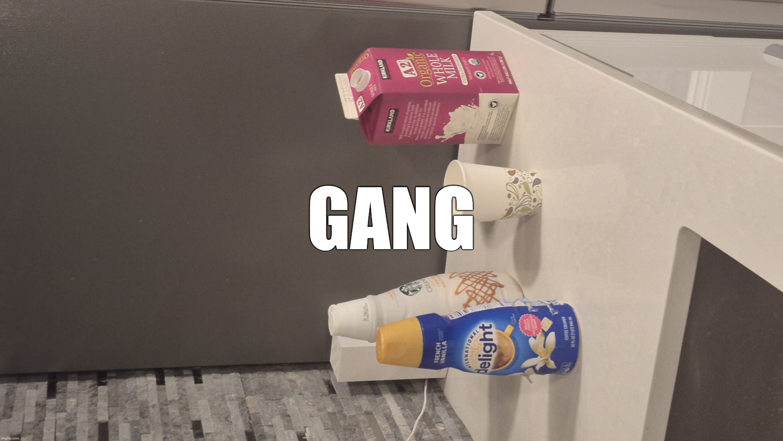 Gang | GANG | image tagged in gang | made w/ Imgflip meme maker