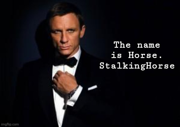 james bond | The name is Horse. StalkingHorse | image tagged in james bond | made w/ Imgflip meme maker