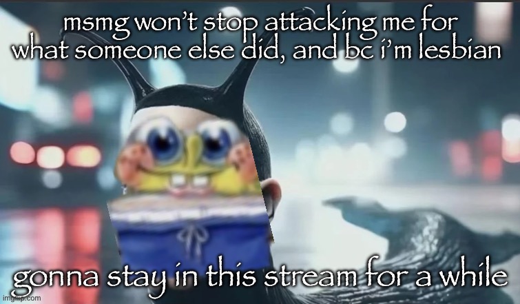 please do not raid msmg, that’s a horrible idea | msmg won’t stop attacking me for what someone else did, and bc i’m lesbian; gonna stay in this stream for a while | image tagged in slugbob | made w/ Imgflip meme maker