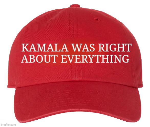 America lost | KAMALA WAS RIGHT ABOUT EVERYTHING | image tagged in damn,maga | made w/ Imgflip meme maker