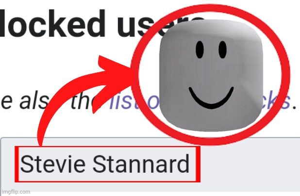 Found a Stevie Standard name soundalike | image tagged in stevie standard,name soundalikes,wikipedia | made w/ Imgflip meme maker