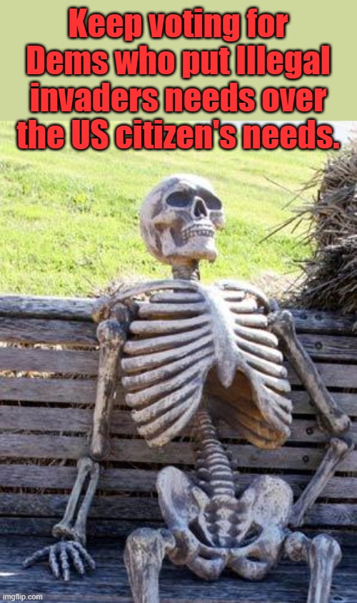 HE DID | Keep voting for Dems who put Illegal invaders needs over the US citizen's needs. | image tagged in memes,waiting skeleton | made w/ Imgflip meme maker
