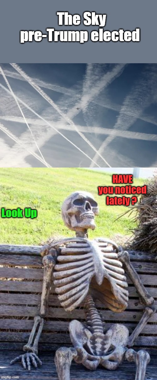 11:48 ZIPO nada in the Sky, that's odd. People very seldom look up, conditioned looking at you're phone. Attention diverted | The Sky pre-Trump elected; HAVE you noticed lately ? Look Up | image tagged in memes,waiting skeleton | made w/ Imgflip meme maker