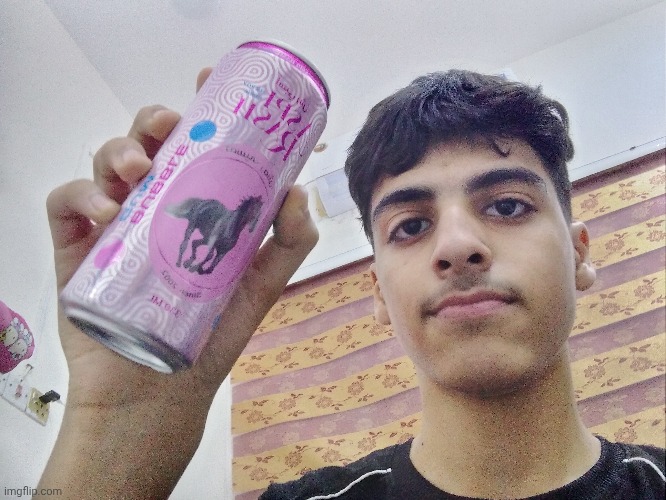 same "middle aged lesbian" (im a guy) that you saw months ago | image tagged in face reveal | made w/ Imgflip meme maker