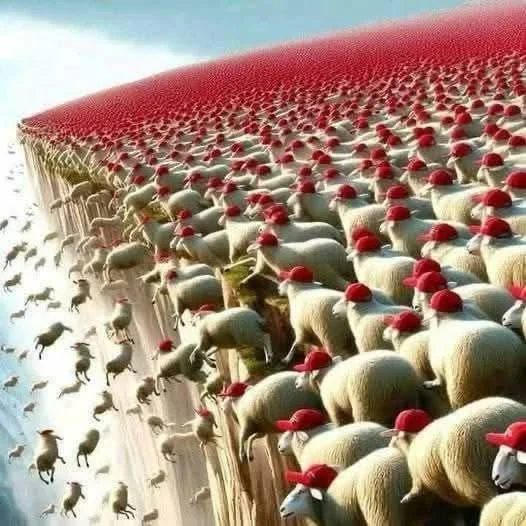 MAGA  Sheeple Lemmings Idiots Morons Trump Republicans Blank Meme Template