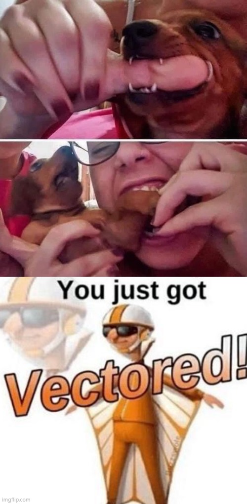 Eat this, Mr. Dog! | image tagged in you just got vectored,dogs | made w/ Imgflip meme maker