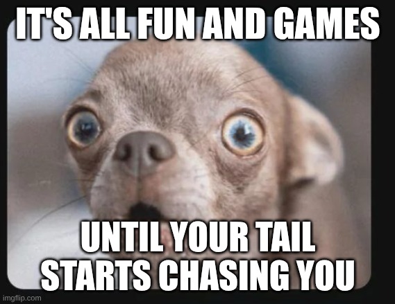 Uh oh | IT'S ALL FUN AND GAMES; UNTIL YOUR TAIL STARTS CHASING YOU | image tagged in uh oh | made w/ Imgflip meme maker