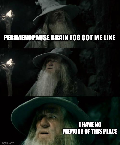 Perimenopausal Gandalf | PERIMENOPAUSE BRAIN FOG GOT ME LIKE; I HAVE NO MEMORY OF THIS PLACE | image tagged in memes,confused gandalf | made w/ Imgflip meme maker