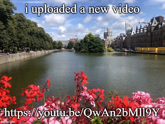 Roses | i uploaded a new video; https://youtu.be/QwAn2bMll9Y | image tagged in roses | made w/ Imgflip meme maker