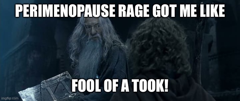Perimenopausal Gandalf | PERIMENOPAUSE RAGE GOT ME LIKE; FOOL OF A TOOK! | image tagged in fool of a took | made w/ Imgflip meme maker
