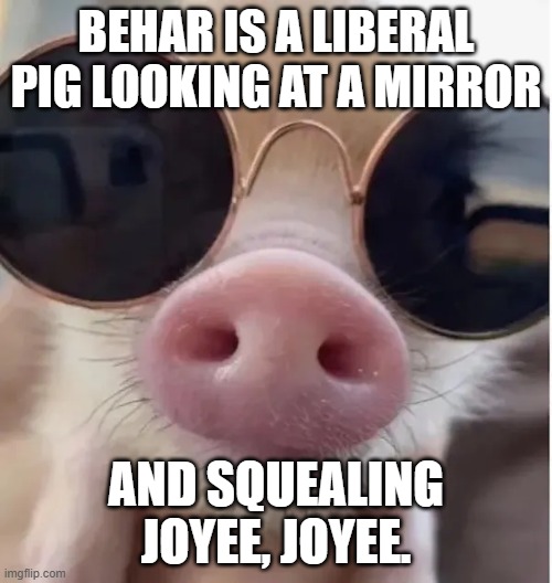 Joyee | BEHAR IS A LIBERAL PIG LOOKING AT A MIRROR; AND SQUEALING JOYEE, JOYEE. | image tagged in a view looking in a mirror | made w/ Imgflip meme maker