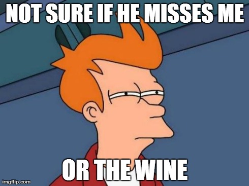 Futurama Fry Meme | NOT SURE IF HE MISSES ME OR THE WINE | image tagged in memes,futurama fry | made w/ Imgflip meme maker