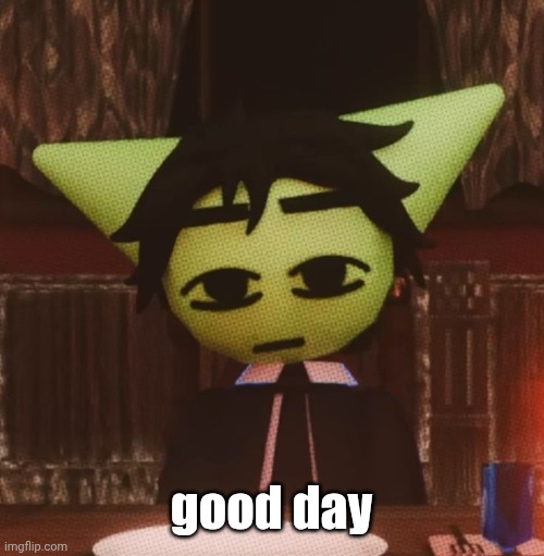 vrochacho what | good day | image tagged in vrochacho what | made w/ Imgflip meme maker