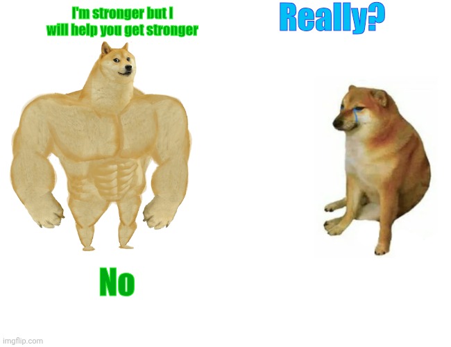 Buff Doge vs. Cheems Meme | Really? I'm stronger but I will help you get stronger; No | image tagged in memes,buff doge vs cheems | made w/ Imgflip meme maker