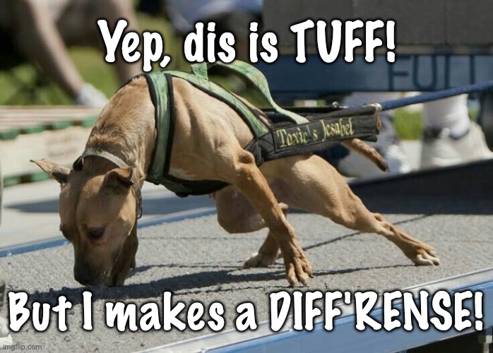 Dog makes Difference | Yep, dis is TUFF! But I makes a DIFF'RENSE! | image tagged in hard work for change,dog pulling load | made w/ Imgflip meme maker