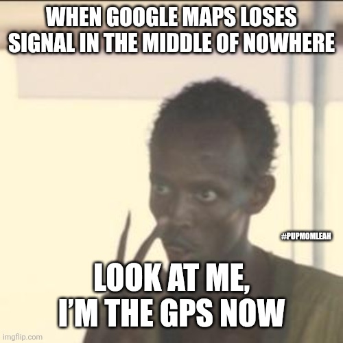 I'm your GPS now! | WHEN GOOGLE MAPS LOSES SIGNAL IN THE MIDDLE OF NOWHERE; #PUPMOMLEAH; LOOK AT ME, I’M THE GPS NOW | image tagged in memes,look at me | made w/ Imgflip meme maker