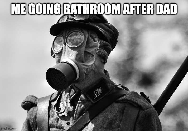 Going bathroom after dad | ME GOING BATHROOM AFTER DAD | image tagged in ww1 gas mask | made w/ Imgflip meme maker