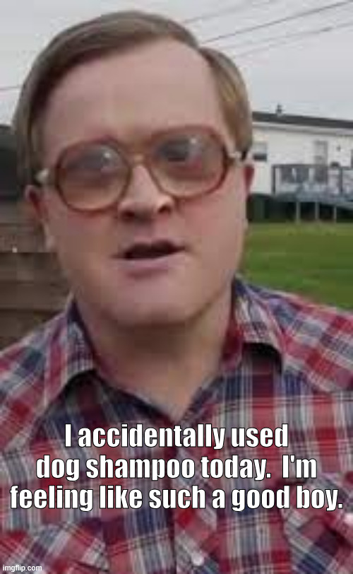bubbles used dog shampoo | I accidentally used dog shampoo today.  I'm feeling like such a good boy. | image tagged in trailer park boys | made w/ Imgflip meme maker