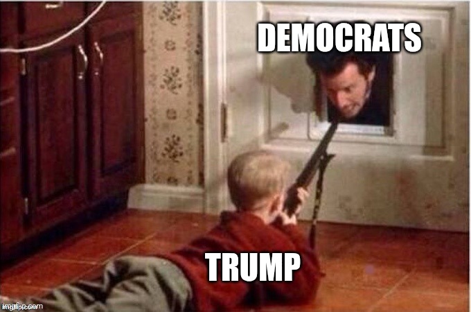 Home Alone | TRUMP DEMOCRATS | image tagged in home alone | made w/ Imgflip meme maker