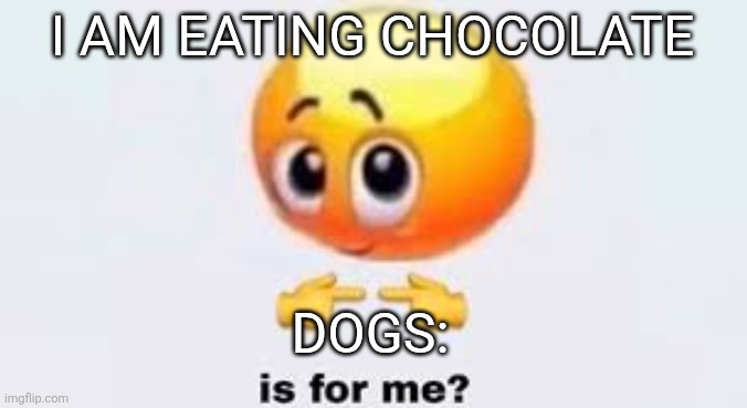 CHOCOLATE KILLS DOGS! | I AM EATING CHOCOLATE; DOGS: | image tagged in is for me | made w/ Imgflip meme maker