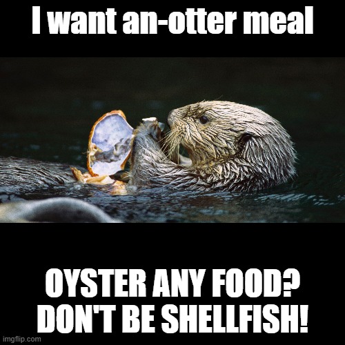 Otter-ly famished | I want an-otter meal; OYSTER ANY FOOD? DON'T BE SHELLFISH! | image tagged in black square,otter,pun,seafood | made w/ Imgflip meme maker