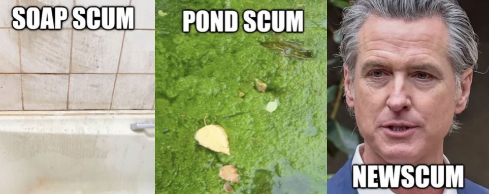 Scientific Classifications Blank Meme Template