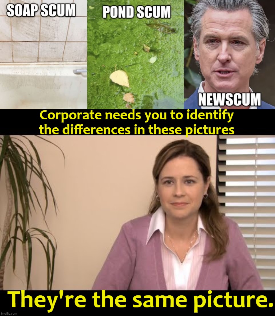 Worst Unemployment, worst Homelessness . . . thinks he should be President? | Corporate needs you to identify the differences in these pictures; They're the same picture. | image tagged in they're the same picture,democrat,loser,hypocrite,evil | made w/ Imgflip meme maker