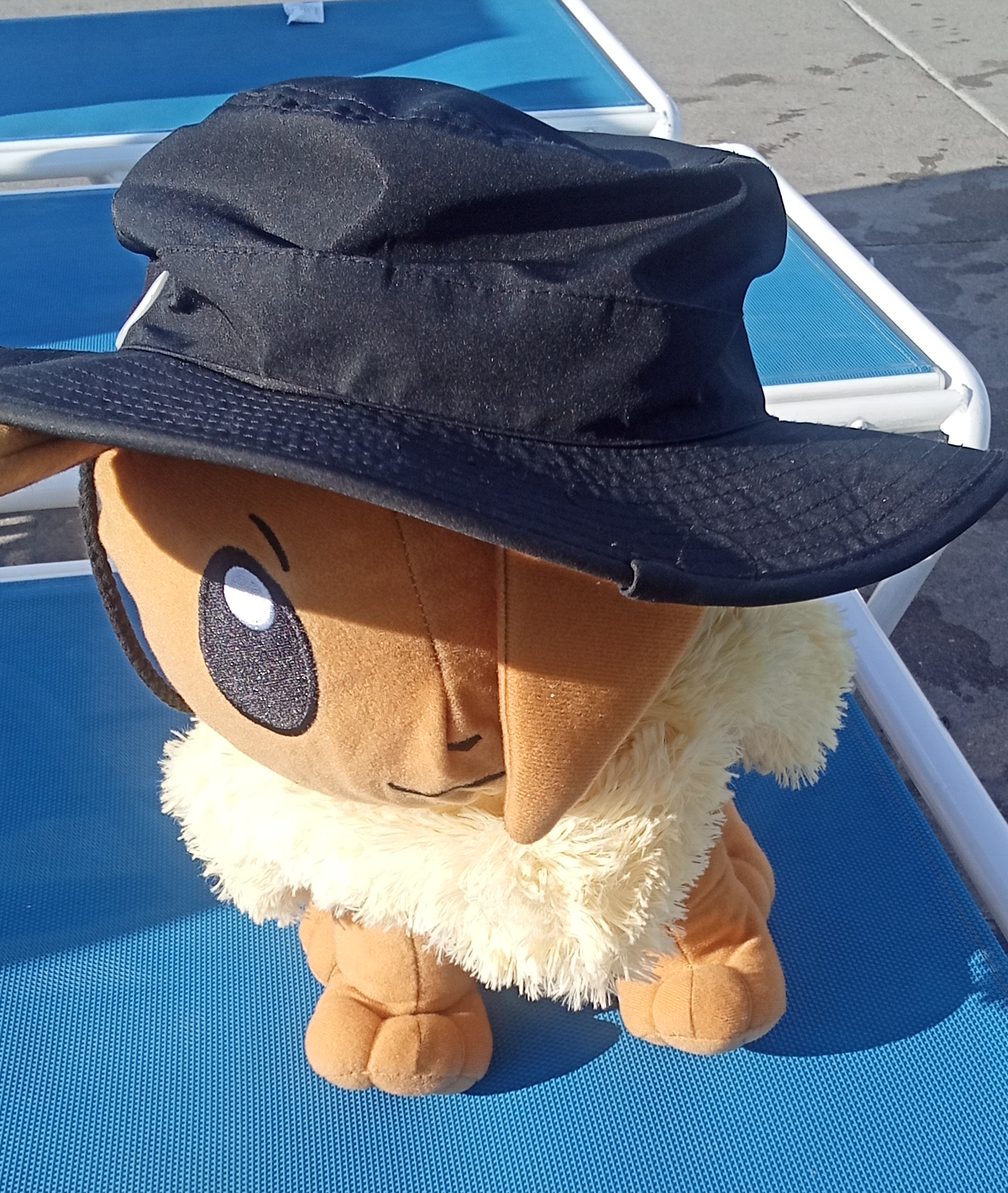 Eevee with hat Blank Meme Template