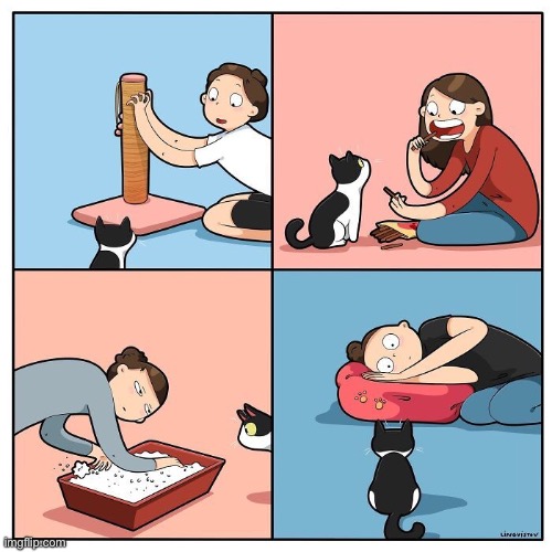 Teaching a new cat old tricks… | image tagged in cats,comics,teaching,kitten,old tricks | made w/ Imgflip meme maker