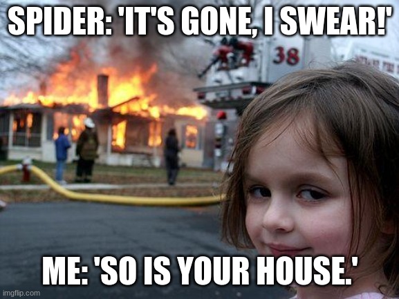 Disaster Girl | SPIDER: 'IT'S GONE, I SWEAR!'; ME: 'SO IS YOUR HOUSE.' | image tagged in memes,disaster girl | made w/ Imgflip meme maker
