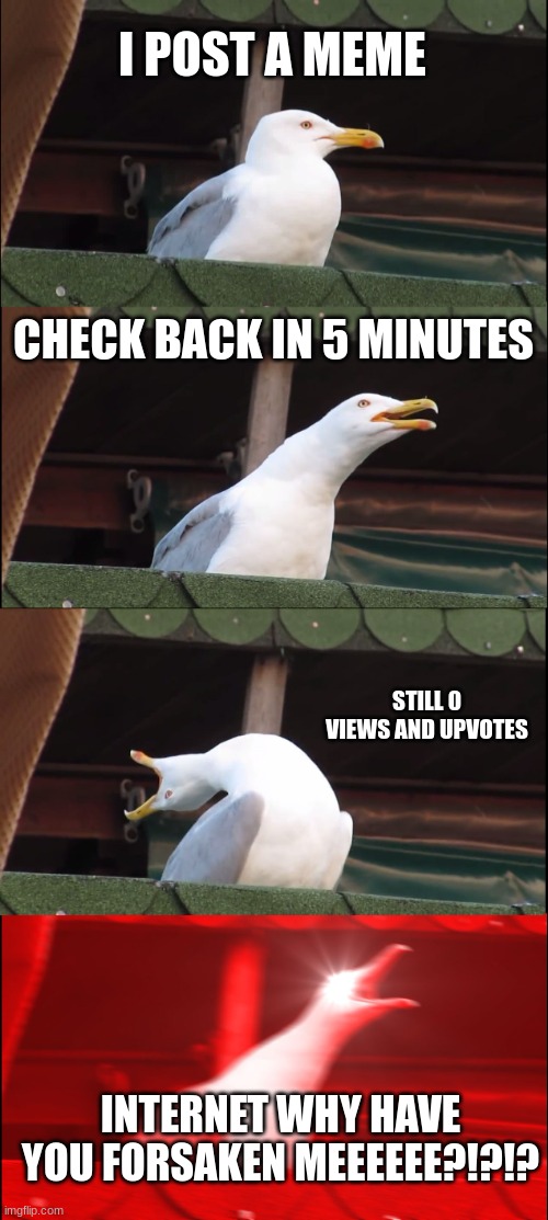 Inhaling Seagull | I POST A MEME; CHECK BACK IN 5 MINUTES; STILL 0 VIEWS AND UPVOTES; INTERNET WHY HAVE YOU FORSAKEN MEEEEEE?!?!? | image tagged in memes,inhaling seagull | made w/ Imgflip meme maker