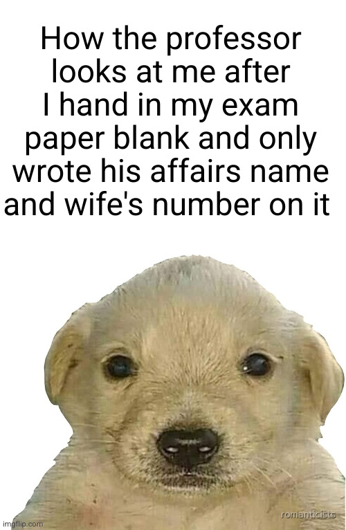 100 percent pass | How the professor looks at me after I hand in my exam paper blank and only wrote his affairs name and wife's number on it | image tagged in jotchua,funny,college,professor,dog staring,affair | made w/ Imgflip meme maker