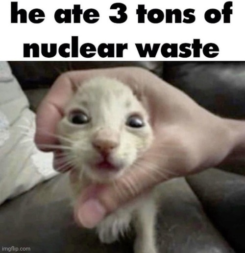 Hez so silly :P | image tagged in cat | made w/ Imgflip meme maker