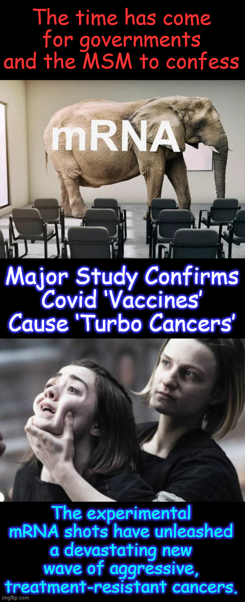 Major Study Confirms Covid ‘Vaccines’ Cause ‘Turbo Cancers’ | The time has come for governments and the MSM to confess; Major Study Confirms Covid ‘Vaccines’ Cause ‘Turbo Cancers’; The experimental mRNA shots have unleashed a devastating new wave of aggressive, treatment-resistant cancers. | image tagged in arya forced look,bombshell peer-reviewed study,confirms,covid vaccine,turbo cancers | made w/ Imgflip meme maker