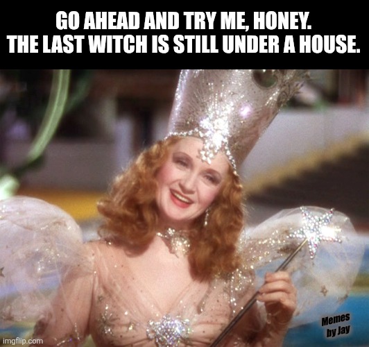Ha | GO AHEAD AND TRY ME, HONEY. THE LAST WITCH IS STILL UNDER A HOUSE. Memes by Jay | image tagged in glinda good witch wizard of oz,protesters,trial | made w/ Imgflip meme maker