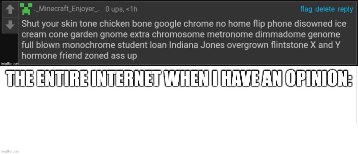 and it's usually not even that serious. | THE ENTIRE INTERNET WHEN I HAVE AN OPINION: | image tagged in packgod ahh roast,blank meme template | made w/ Imgflip meme maker