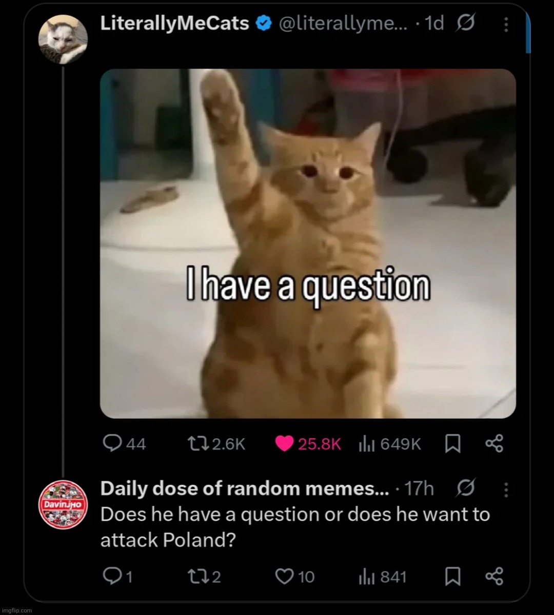 Heat stroke | image tagged in memes,funny,dark,sieg heil,nazi,hitler cat | made w/ Imgflip meme maker
