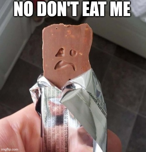 No Don't Eat Me | NO DON'T EAT ME | image tagged in chrisjoines1 | made w/ Imgflip meme maker