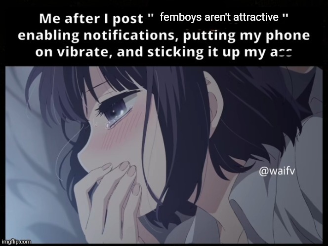 just my take honestly | femboys aren't attractive | image tagged in me after i post x is trash | made w/ Imgflip meme maker