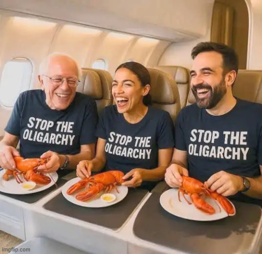 dems new campaign to stop the oligarchy | image tagged in millionaire grifters gotta grift | made w/ Imgflip meme maker