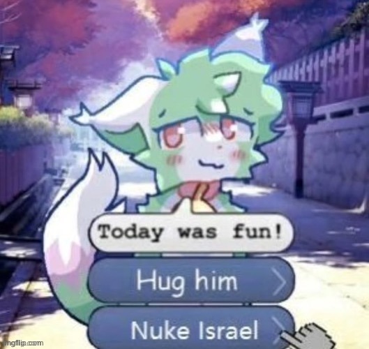 both | image tagged in israel,shitpost,msmg | made w/ Imgflip meme maker