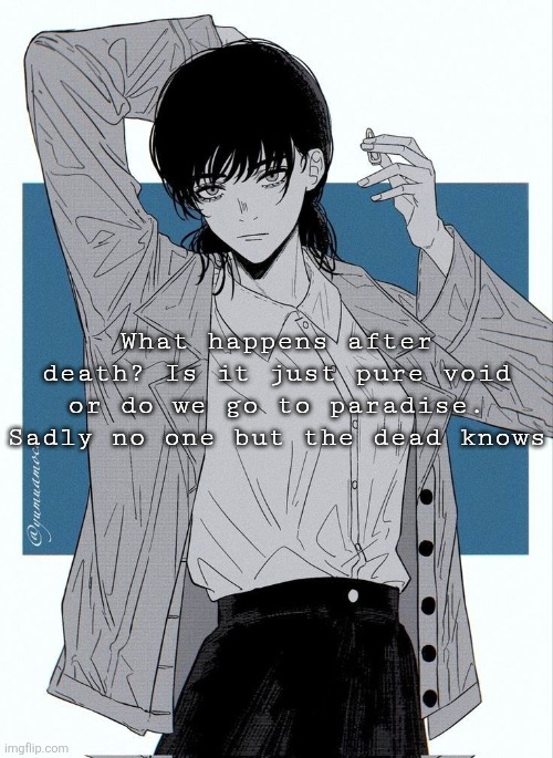 Asa Mitaka | What happens after death? Is it just pure void or do we go to paradise. Sadly no one but the dead knows | image tagged in asa mitaka | made w/ Imgflip meme maker