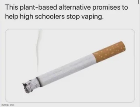 I mean... he's not wrong | image tagged in msmg,shitpost | made w/ Imgflip meme maker