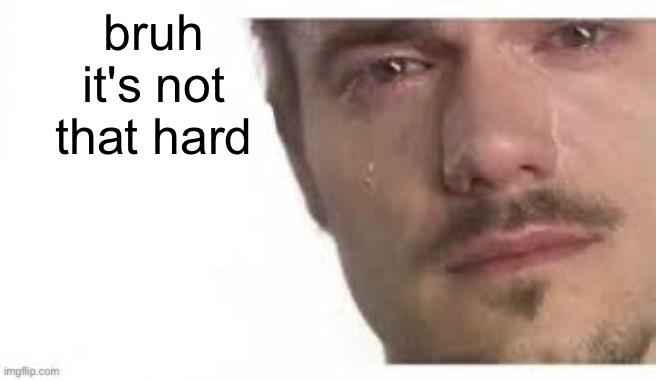 Bro Please Bro | bruh
it's not that hard | image tagged in bro please bro | made w/ Imgflip meme maker