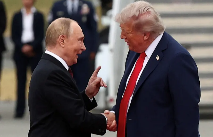 Putins lap dog Blank Meme Template