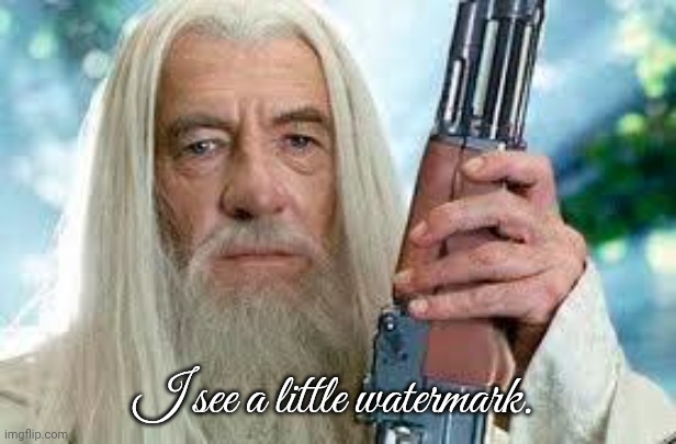Shotgun Gandalf | I see a little watermark. | image tagged in shotgun gandalf | made w/ Imgflip meme maker