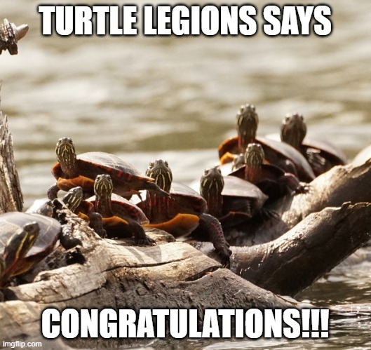 Turtle Legion | TURTLE LEGIONS SAYS; CONGRATULATIONS!!! | image tagged in turtle,turtle meme | made w/ Imgflip meme maker